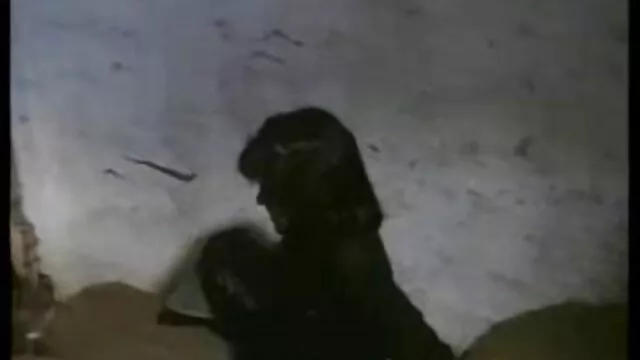 ایچ ڈی کے معیار :  پیاری brunette بیب اس بلی فیلم سکسی عربی جدید کیلوں سے جڑا میں pawnshop فحش ویڈیو 